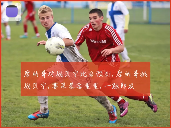 摩纳哥对战贝宁比分预测,摩纳哥挑战贝宁,赛果悬念重重,一触即发