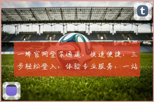 一蜂官网登录通道,快速便捷,三步轻松登入,体验专业服务,一站式解决